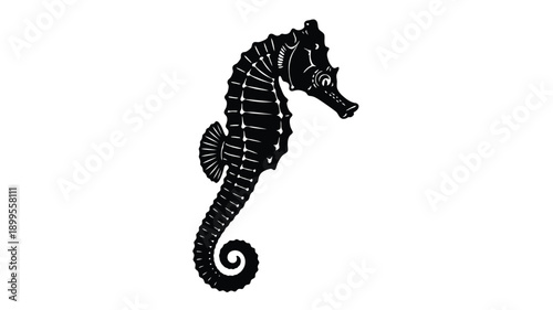 a detailed black seahorse illustration against a white background silhouette