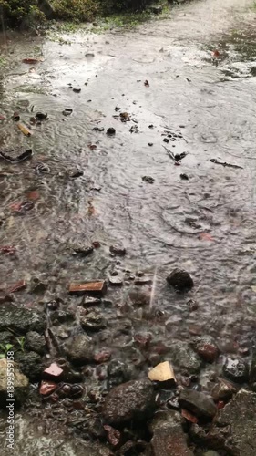 Wallpaper Mural Close up of rain falling on muddy ground with small stones and pebbles. Torontodigital.ca