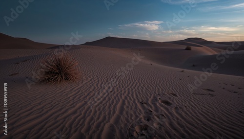 Sand Dunes at Sunset With Sparse Vegetation in the Desert Landscape