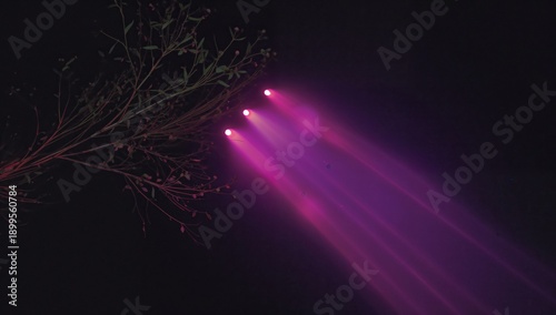 Bright Lights Shine Through the Night Sky Above Branches in a Dark Setting Wi...