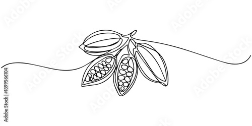 Single continuous line drawing of whole healthy organic cocoa bean for plantation logo identity. Fresh cacao concept for chocolate shop icon, Pro Vector, Continuous one line drawing of whole healthy.