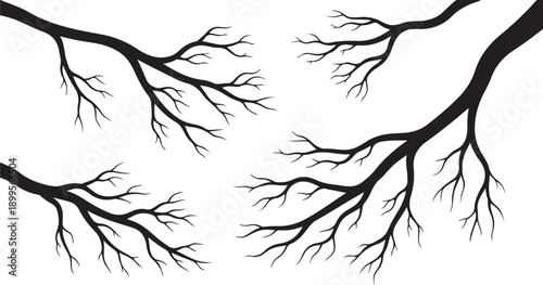 Black Branches on White Background Illustration Art Design Element
