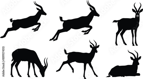 Black silhouettes of antelopes in various poses on white background gazelle