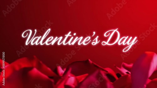 Animation of Valentines Day written in white letters on red background with rose petals
