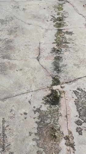A detailed shot focusing on a long, deep crack running across a weathered concrete floor in a residential outdoor setting, illustrating structural wear and the need for home repair.