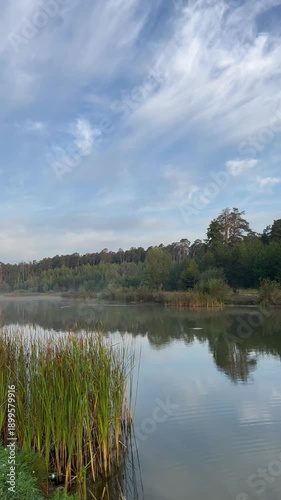 Lake shore at dawn, calm nature video, morning landscape