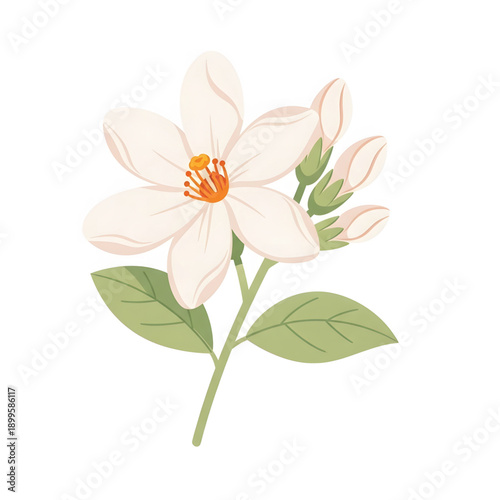 Elegant white flower illustration with delicate buds and vibrant green leaves, ideal for spiritual offerings and enhancing the festive ambiance of Durga Puja