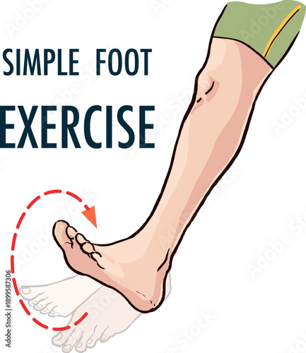Exercise for flexibility of the ankle joint. A bare foot with a detailed image of the nails bends and unbends the foot. stock illustration
