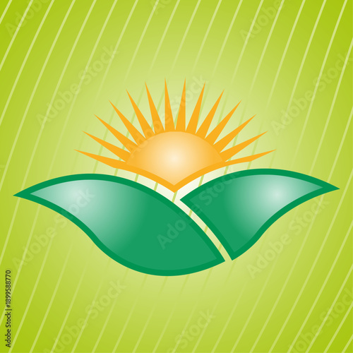 Eco