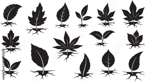 Collection of various leaf silhouettes with roots on white