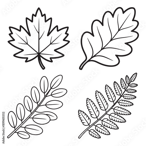 Broken tree branch falling isolated vector illustration flat design