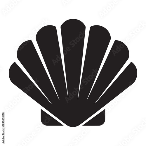 Black silhouette of various seashell on white background