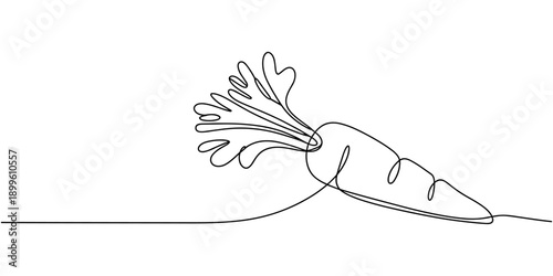 Carrot in one continuous line drawing illustration, Simple carrot continuous single line art. Carrot continuous one line drawing of isolated on white background vector illustration