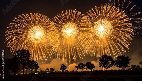 Vibrant Fireworks Display at Nighttime Celebration.