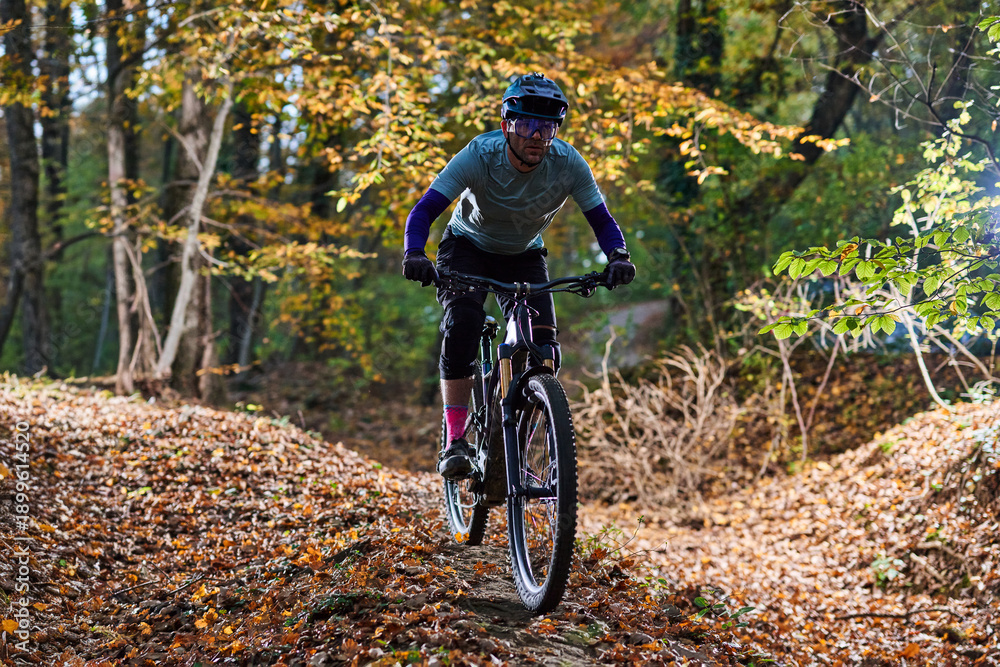Fototapeta premium Mountain Biker Navigates Leafy Autumn Trail Through Sunlit Forest On Rugged Singletrack