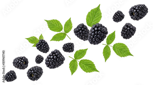 Fresh Blackberries and Green Leaves Flying Isolated on White Background