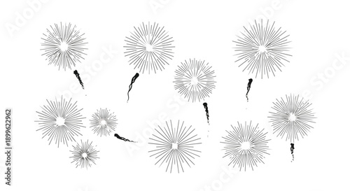 Vector dandelion seeds flying, abstract floral elements, botanical illustration isolated on white