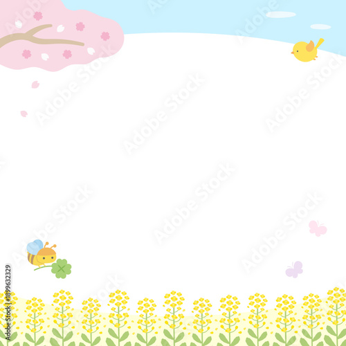 Spring square banner background with cherry blossoms and rapeseed flowers