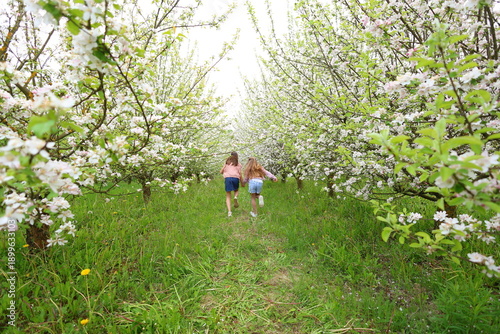 Two girls walk hand in hand down a sun-dappled path through a blooming orchard, white blossoms, lush green grass, and joyful movement capture springtime innocence and shared wonder.