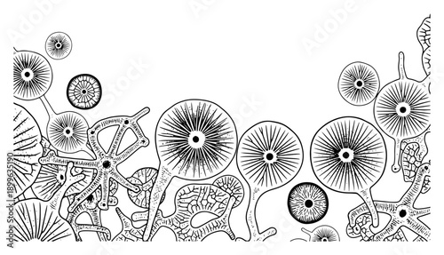 Detailed background pattern of microscopic diatoms and marine microorganisms in vintage engraving style