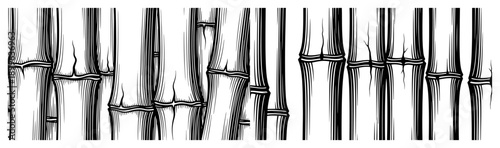 Black and white bamboo stalk illustration with vertical cracks and woodcut style