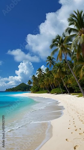 tropical beach with palm trees