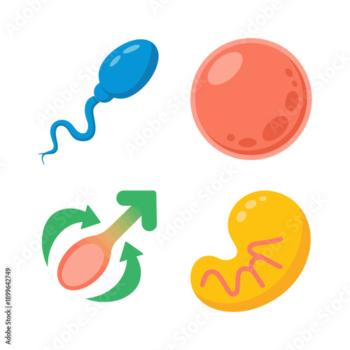 Sperm, Egg, Male Symbol, and Ovum Cell Icon Set. Reproductive System, Fertilization, Biological Process Illustrations. Colorful and Educational Vector Icons.