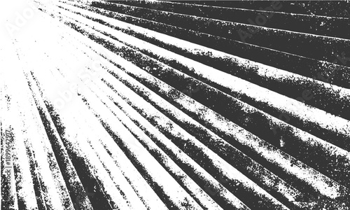 Natural white timber texture background with space
White rustic wood texture clean abstract background