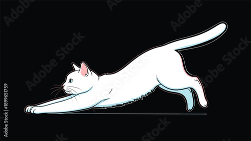 Pure white cat is captured in a long stretch on a black background which creates a striking contrast and highlights its form.