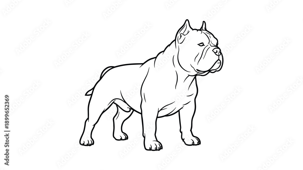 Fototapeta premium Strong and muscular american pitbull terrier shown in a clean black and white line art profile drawing emphasizing the breed's athletic build.