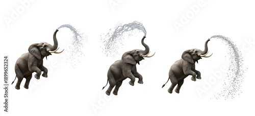 Three playful elephants spouting water in a joyful, synchronized display. isolated on transparent background