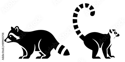 Black silhouette vector icons of raccoon and ring tailed lemur