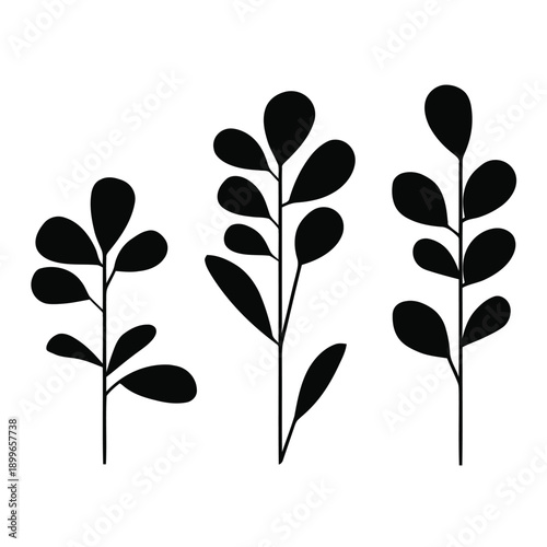Minimalist leaf stems and organic foliage branches vector silhouette, isolated on white background