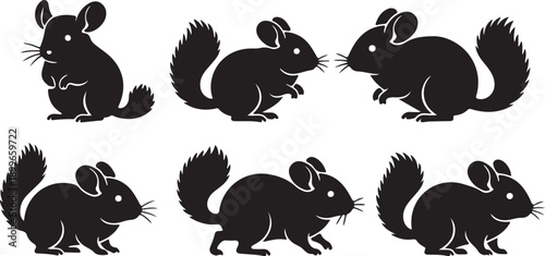 Collection of cute chinchilla silhouettes in various poses, ideal for design elements