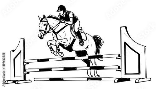 professional horse jumping equestrian sport competition hand drawn vector sketch