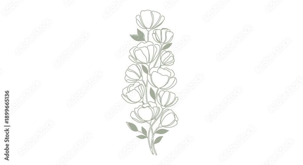 Obraz premium Vector floral illustration of white flowers with green leaves, for banner or poster, isolated on transparent background, png