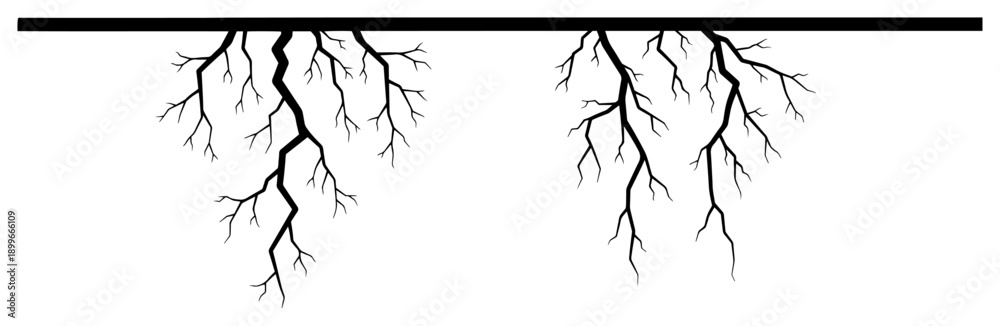 Fototapeta premium Simple black and white illustration of two branching cracks or root systems descending from a top edge