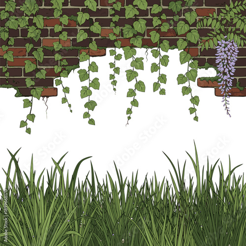 Isolated a kinds of deferent realistic green grass Green climbing vines hanging over an old brick wall, creating a natural and rustic background for eco and botanical design concepts., vector art .