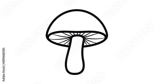 Simple black and white illustration of a single mushroom with detailed gills