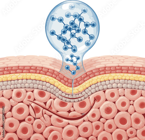 Isolated a realistic Bubble with collagen atoms descends through skin cells to the deepest layers, straightening and smoothing wrinkles from within. 3D rendering. vector art with white background..