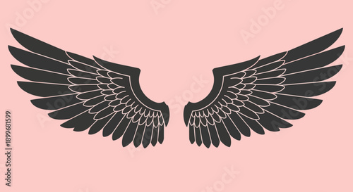 Black angel wings on a soft pink background illustration.