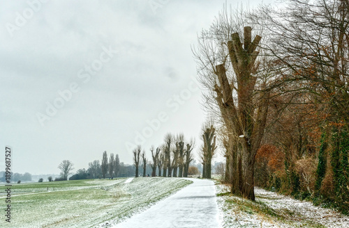Winterlandschaft auf dem Deich am Rhein in Kaiserswerth