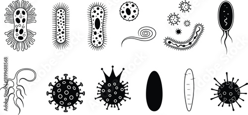 Stylized microorganism and virus icons set, abstract bacteria shapes, microbiology illustration, medical science symbols, black and white microbial design collection