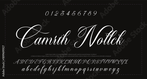 Lettering signature font isolated on grey background. brus style alphabet. Vector logo letters. 