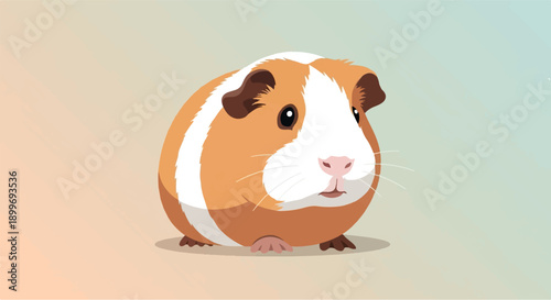A cute cartoon guinea pig with orange and white fur on a soft gradient background