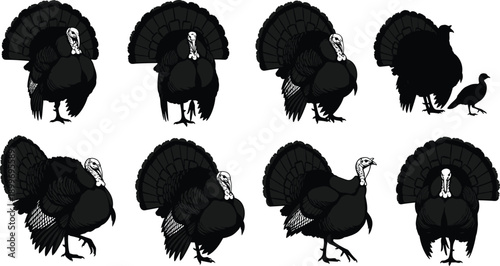 Black and white turkey silhouette collection featuring male tom turkeys in strutting poses and a small hen for farm designs