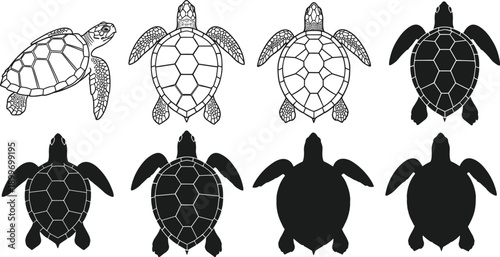 Sea turtle silhouette set showing top view marine reptile shells black and outline vector illustration isolated wildlife collection