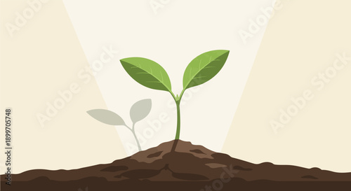 A young green sprout emerges from dark soil, bathed in soft light