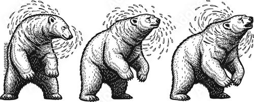 Three bears shaking off water in a row wild animals drying fur by shaking water droplets