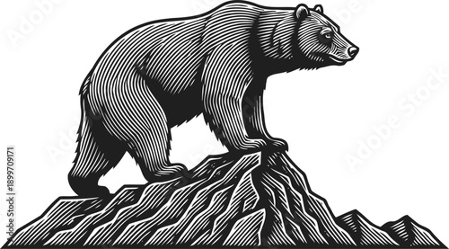 black bear standing on rocky mountain peak wild animal in nature, detailed vintage engraving illustration